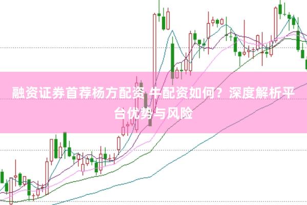 融资证券首荐杨方配资 牛配资如何?深度解析平台优势与风险