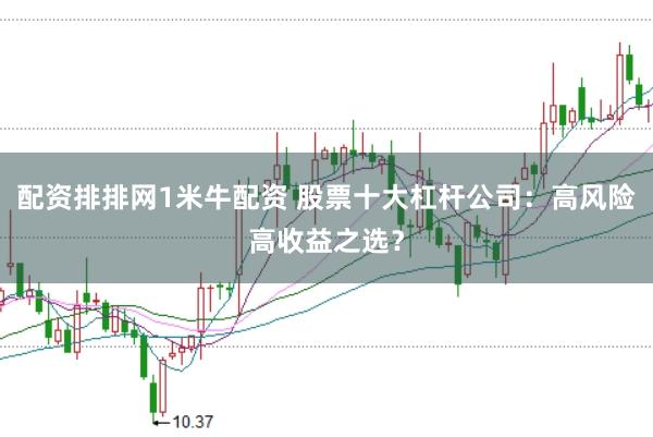 配资排排网1米牛配资 股票十大杠杆公司：高风险高收益之选？