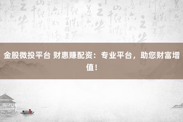 金股微投平台 财惠赚配资：专业平台，助您财富增值！