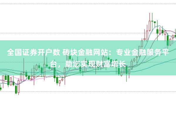 全国证券开户数 砖块金融网站：专业金融服务平台，助您实现财富增长
