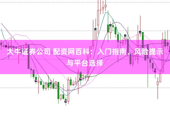 大牛证券公司 配资网百科：入门指南、风险提示与平台选择