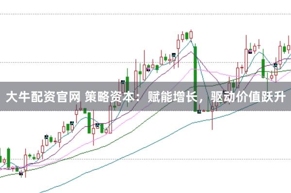 大牛配资官网 策略资本：赋能增长，驱动价值跃升