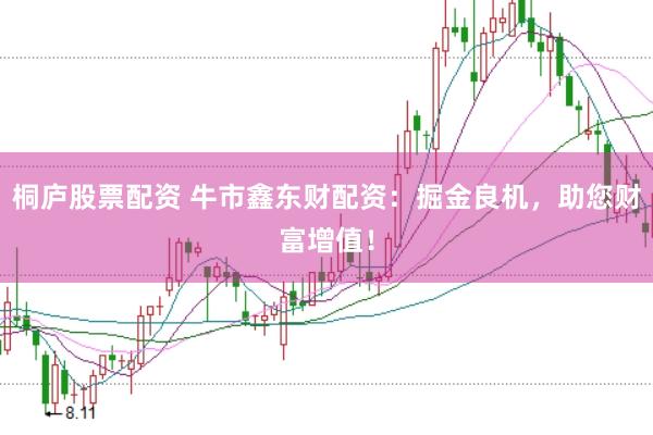桐庐股票配资 牛市鑫东财配资：掘金良机，助您财富增值！