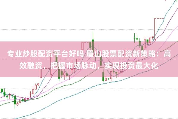 专业炒股配资平台好吗 眉山股票配资新策略：高效融资，把握市场脉动，实现投资最大化