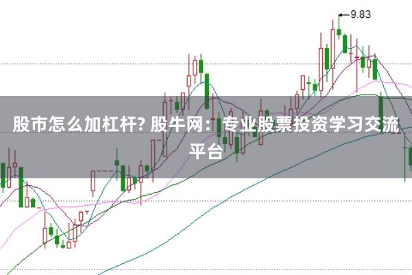 股市怎么加杠杆? 股牛网：专业股票投资学习交流平台