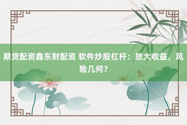 期货配资鑫东财配资 软件炒股杠杆：放大收益，风险几何？