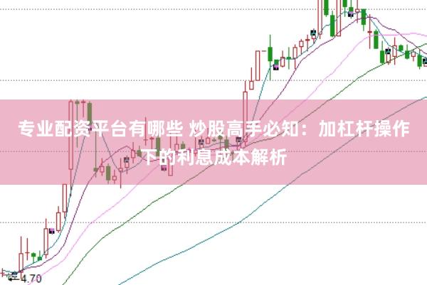 专业配资平台有哪些 炒股高手必知：加杠杆操作下的利息成本解析