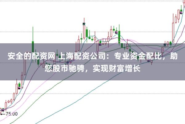 安全的配资网 上海配资公司：专业资金配比，助您股市驰骋，实现财富增长