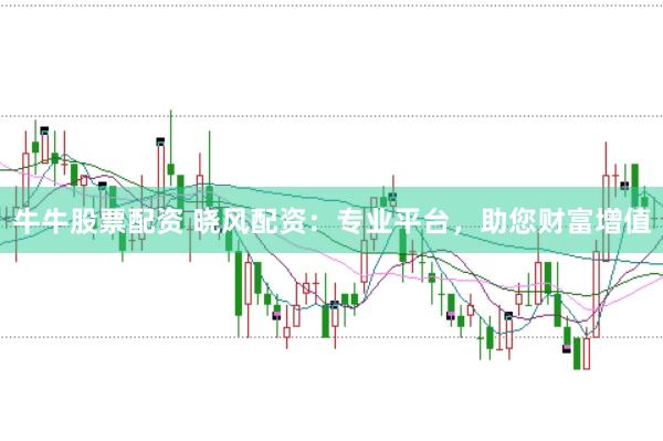 牛牛股票配资 晓风配资：专业平台，助您财富增值