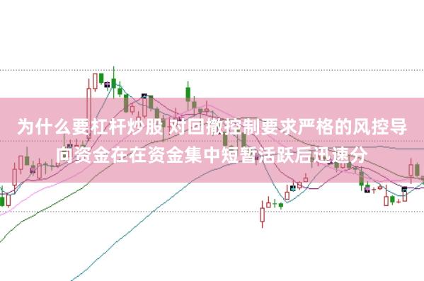 为什么要杠杆炒股 对回撤控制要求严格的风控导向资金在在资金集中短暂活跃后迅速分