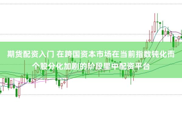 期货配资入门 在跨国资本市场在当前指数钝化而个股分化加剧的阶段里中配资平台