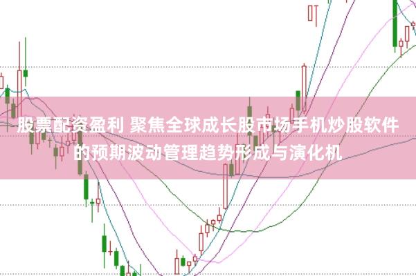 股票配资盈利 聚焦全球成长股市场手机炒股软件的预期波动管理趋势形成与演化机