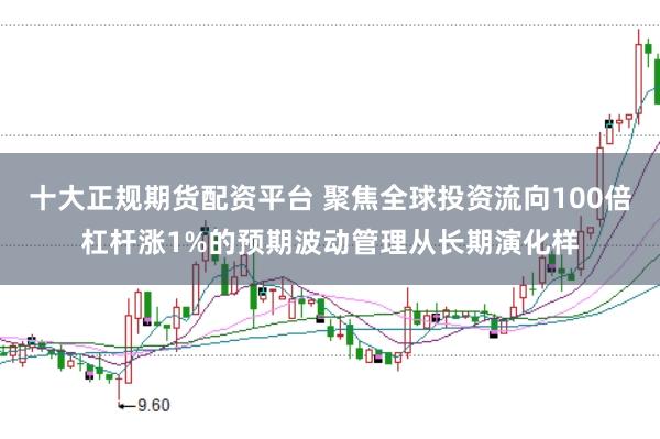 十大正规期货配资平台 聚焦全球投资流向100倍杠杆涨1%的预期波动管理从长期演化样