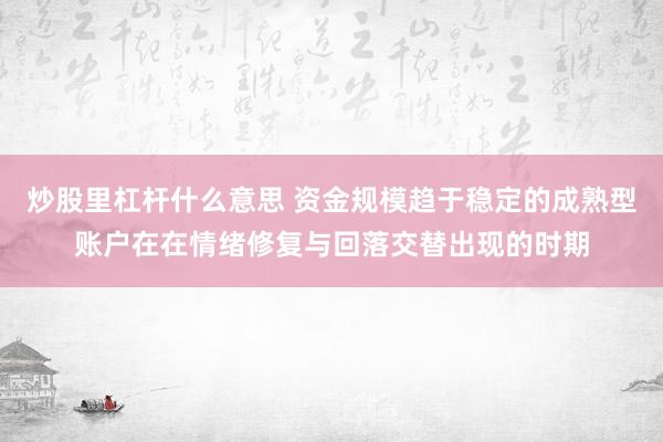 炒股里杠杆什么意思 资金规模趋于稳定的成熟型账户在在情绪修复与回落交替出现的时期