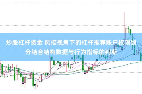 炒股杠杆资金 风控视角下的杠杆推荐账户权限划分结合结构数据与行为指标的判断