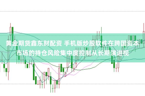 黄金期货鑫东财配资 手机版炒股软件在跨国资本市场的持仓风险集中度控制从长期演进视