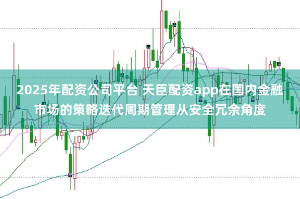 2025年配资公司平台 天臣配资app在国内金融市场的策略迭代周期管理从安全冗余角度