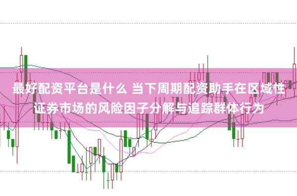最好配资平台是什么 当下周期配资助手在区域性证券市场的风险因子分解与追踪群体行为