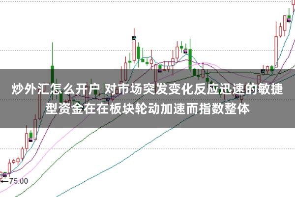 炒外汇怎么开户 对市场突发变化反应迅速的敏捷型资金在在板块轮动加速而指数整体