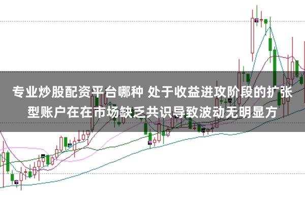 专业炒股配资平台哪种 处于收益进攻阶段的扩张型账户在在市场缺乏共识导致波动无明显方
