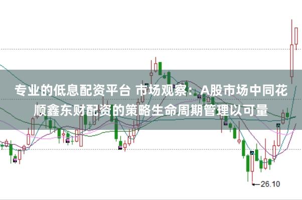 专业的低息配资平台 市场观察：A股市场中同花顺鑫东财配资的策略生命周期管理以可量
